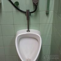 do-gory-prosze-nie-sikac