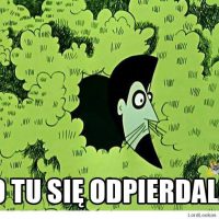 14650768_559455107561332_3077720238918386661_n