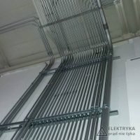 polska robota w USA