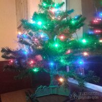 stabilna choinka to udane święta