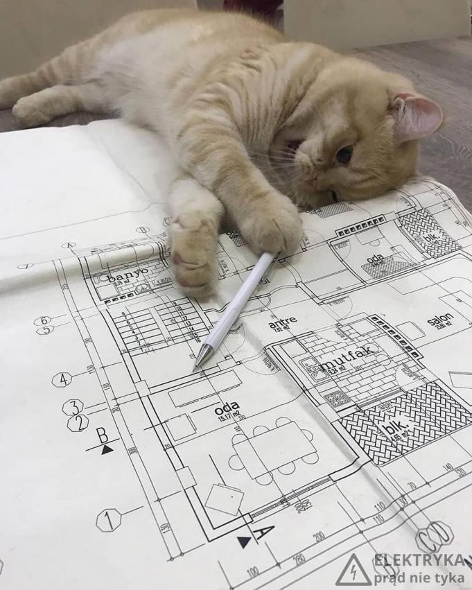 AutoCAT