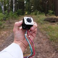 engineer-in-forest