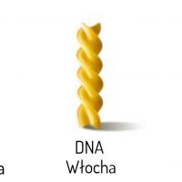 lancuch_wiertlo_dna