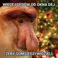 nosacze-ubieranie-choinki