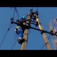 Elektromonter ściąga gałąź z linii 15 kV
