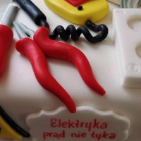 tort-elektryka