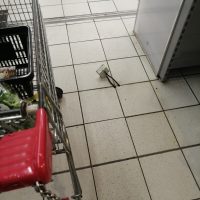 niespodzianka w hipermarkecie