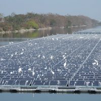 solar_guano