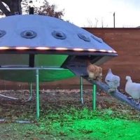 kurnik-ufo-led
