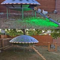 kurnik_ufo