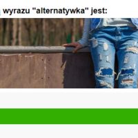 alternator-meska-alternatywka