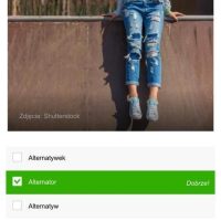 meska forma alternatywka alternator quiz
