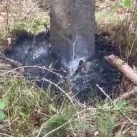 slup-po-wichurze-doziemienie-przewodu