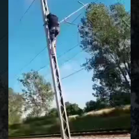 tarzan-na-trakcji-elektrycznej