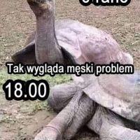 meski-problem-mem