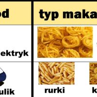 zawod-i-typ-makaronu-elektryka