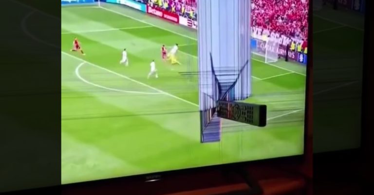 SONY Bravia Interactive Display