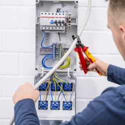 Szczypce-do-WLZ-Knipex-9518225