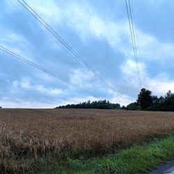 polaczenie-stacji-Trebaczew-z-Elektrownia-Opole