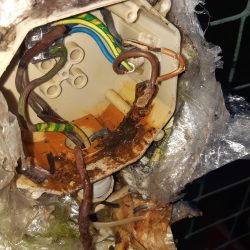 woda w puszce elektrycznej