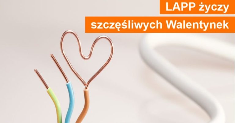 Wykorzystaj Voucher 5% z okazji Walentynek w LAPP