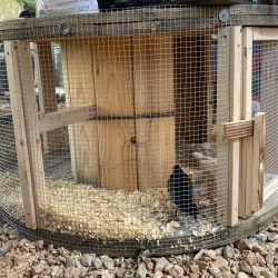 kurnik w szpuli kablowej