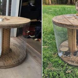 mobilne kurniki ze szpuli na kable