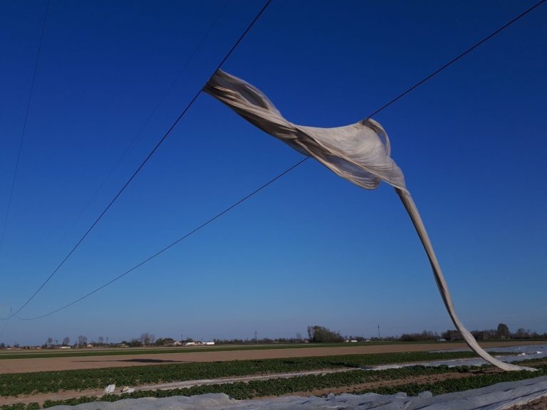 PSE ostrzega: Agrowłóknina zagrożeniem dla sieci elektroenergetycznych
