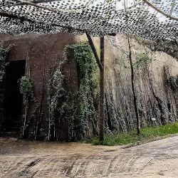 Wolfsschanze