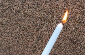 Gromnica elektromontera