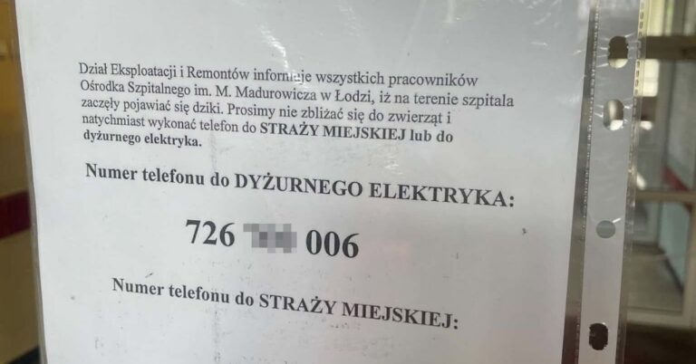 Typowy dyżur elektryka w Szpitalu Wojewódzkim w Łodzi